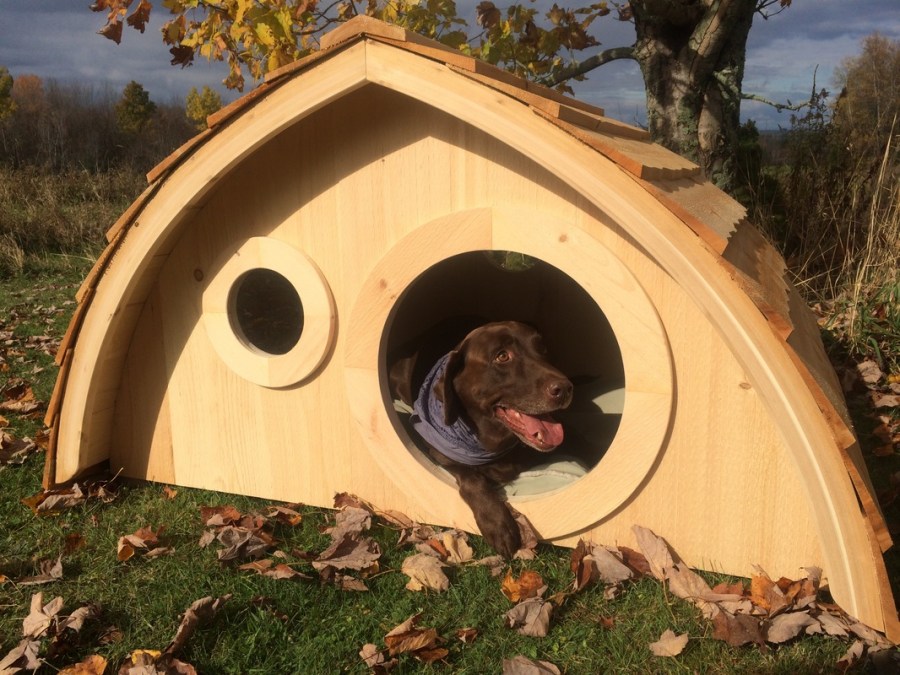 Будка для собаки своими руками: фото, чертежи и схемы, подробная инструкция - как сделать теплую конуру, чем утеплить и как построить крепкий дом на зиму