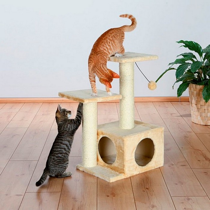 домик для кошек