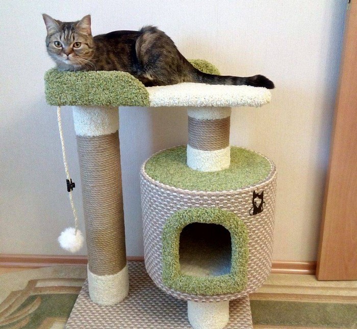 дорого ли сделать домик для кошек